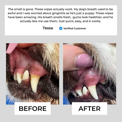 1 Pack Natural Pet Dental Finger Wipes