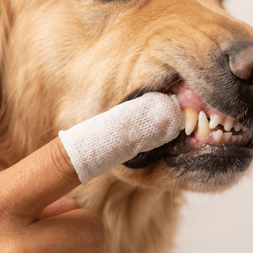 1 Pack Natural Pet Dental Finger Wipes